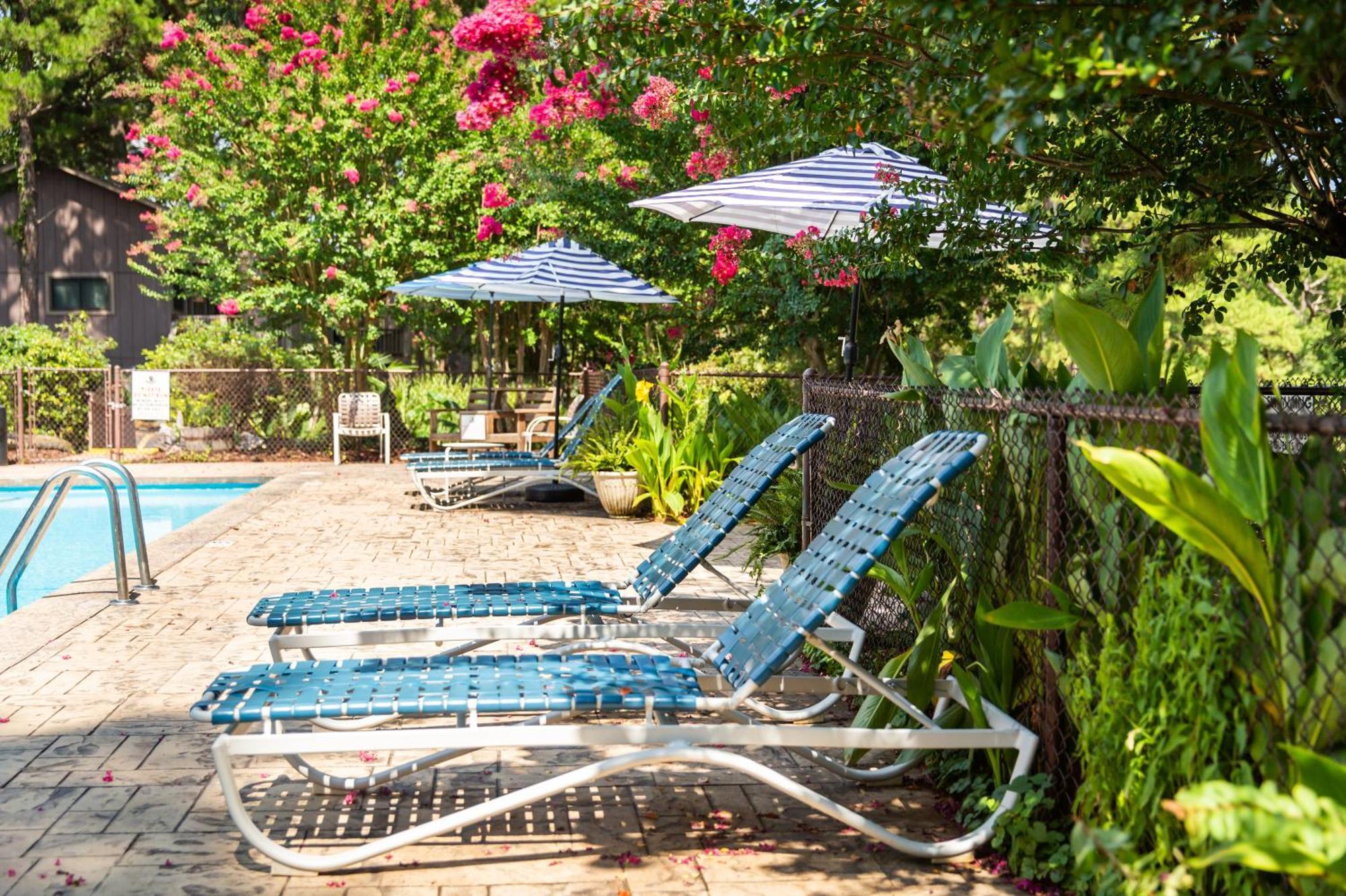 C13 Cottage Mount Ida ภายนอก รูปภาพ